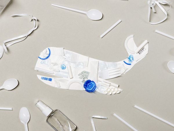 Deșeuri de plastic în natură