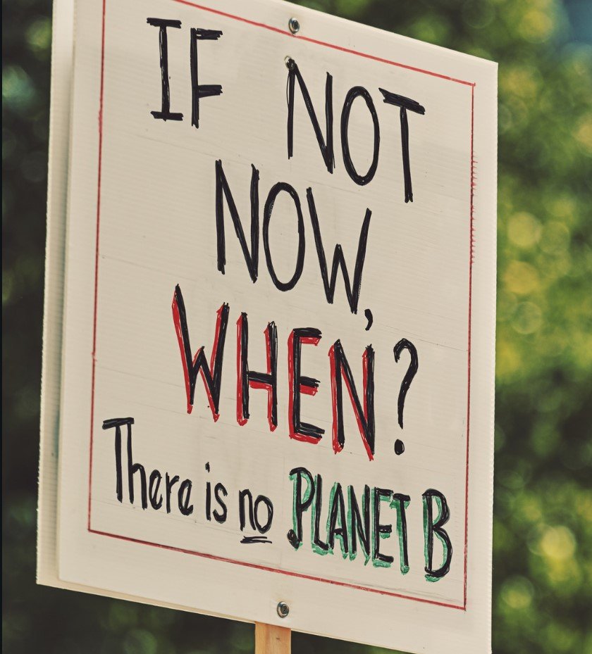 Protestatar cu pancarta „If not now, when? There is no planet B”